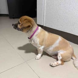 이용 후기 사진