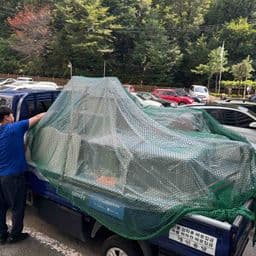 이용 후기 사진
