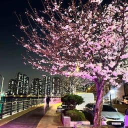 거주지 리뷰 첫번째 이미지