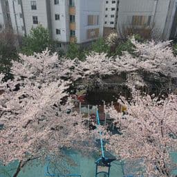 거주지 리뷰 첫번째 이미지