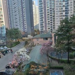 거주지 리뷰 첫번째 이미지