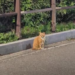거주지 리뷰 첫번째 이미지