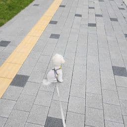 거주지 리뷰 첫번째 이미지