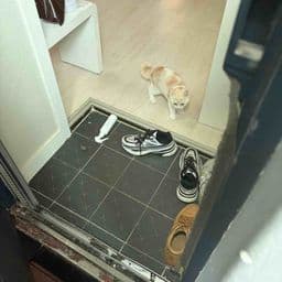 거주지 리뷰 첫번째 이미지