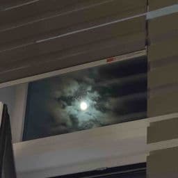 거주지 리뷰 첫번째 이미지