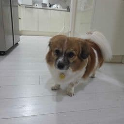 이용 후기 사진