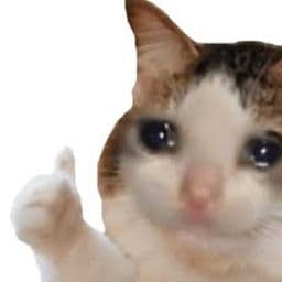 이용 후기 사진