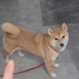 이용 후기 사진
