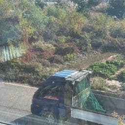 이용 후기 사진