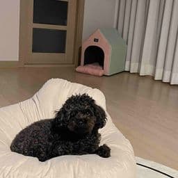 이용 후기 사진