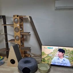 이용 후기 사진